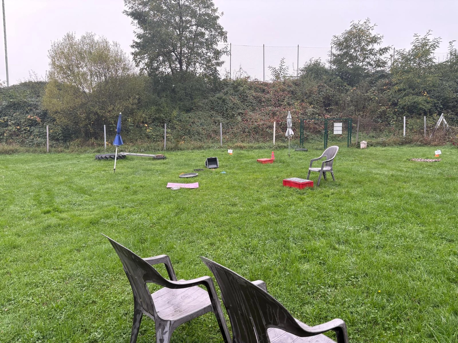 Hundetraining Hundebetreuung Hundebetreuungsdienste Hundetrainingsmethoden Hundeverhalten Hundeerziehung Hundetrainer Thomas Max Hundeschule Rheinstetten Leinenlächeln  Hundeschule Leinenlächeln