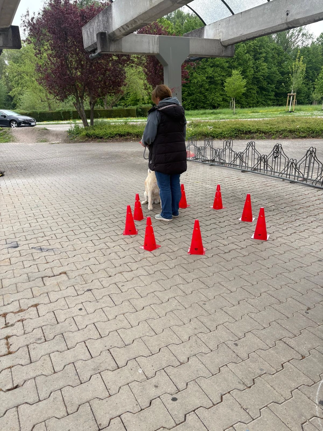 Hundetraining Hundebetreuung Hundebetreuungsdienste Hundetrainingsmethoden Hundeverhalten Hundeerziehung Hundetrainer Thomas Max Hundeschule Rheinstetten Leinenlächeln  Hundeschule Leinenlächeln