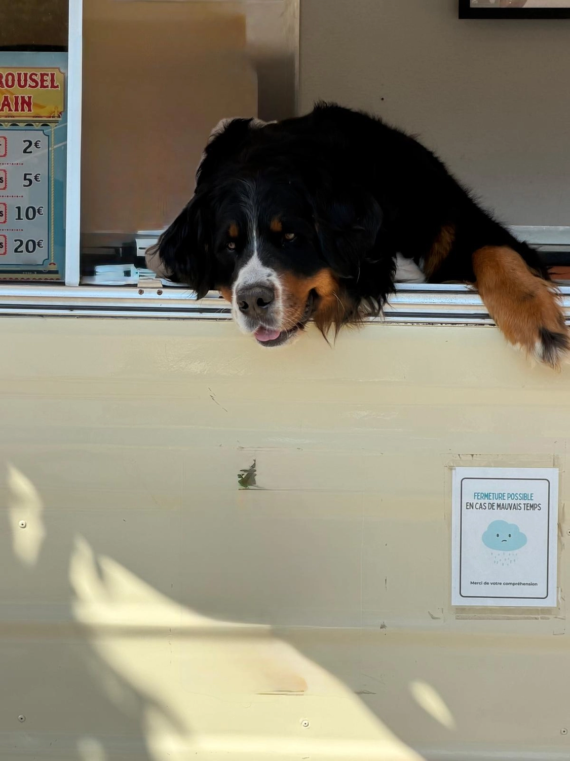 Hundetraining Hundebetreuung Hundebetreuungsdienste Hundetrainingsmethoden Hundeverhalten Hundeerziehung Hundetrainer Thomas Max Hundeschule Rheinstetten Leinenlächeln  Hundeschule Leinenlächeln