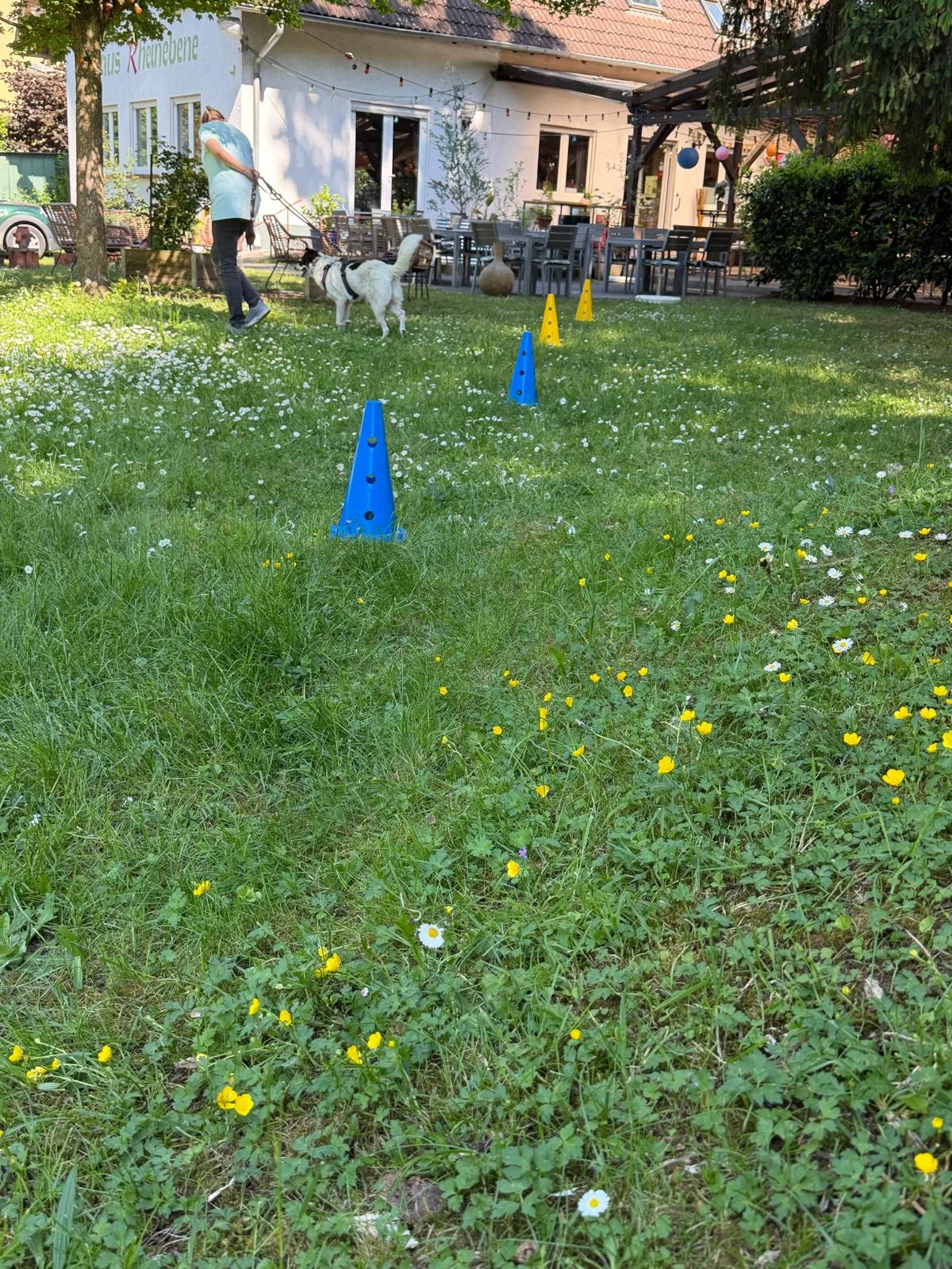 Hundetraining Hundebetreuung Hundebetreuungsdienste Hundetrainingsmethoden Hundeverhalten Hundeerziehung Hundetrainer Thomas Max Hundeschule Rheinstetten Leinenlächeln  Hundeschule Leinenlächeln